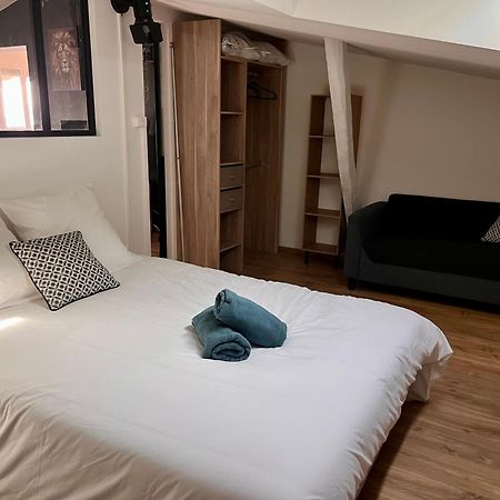 Le Gambetta - Spacieux Et Calme - Climatise Montauban Ngoại thất bức ảnh