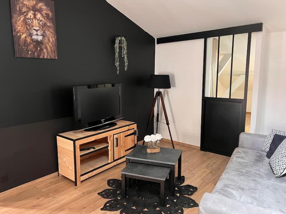 Le Gambetta - Spacieux Et Calme - Climatise Montauban Ngoại thất bức ảnh