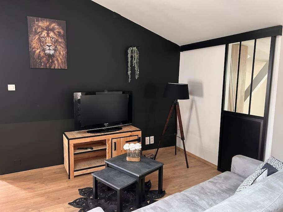 Le Gambetta - Spacieux Et Calme - Climatise Montauban Ngoại thất bức ảnh