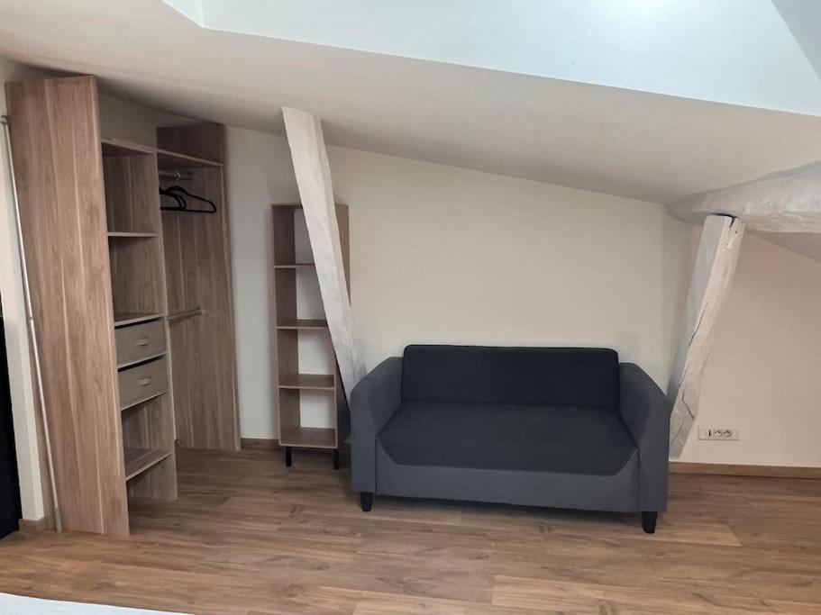 Le Gambetta - Spacieux Et Calme - Climatise Montauban Ngoại thất bức ảnh